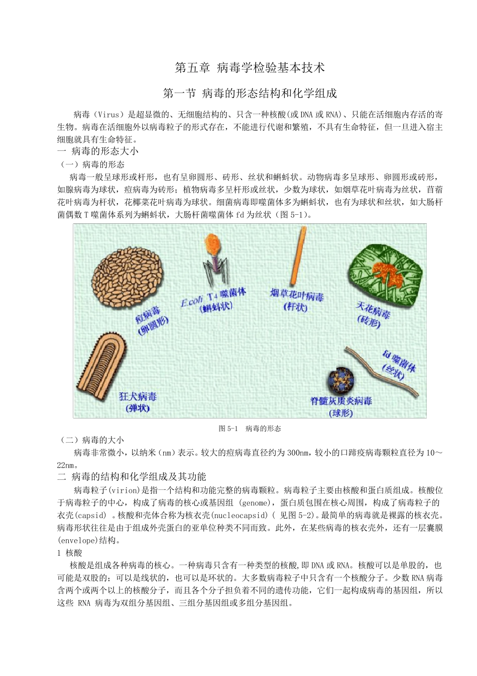第五章病毒学检验基本技术_第1页
