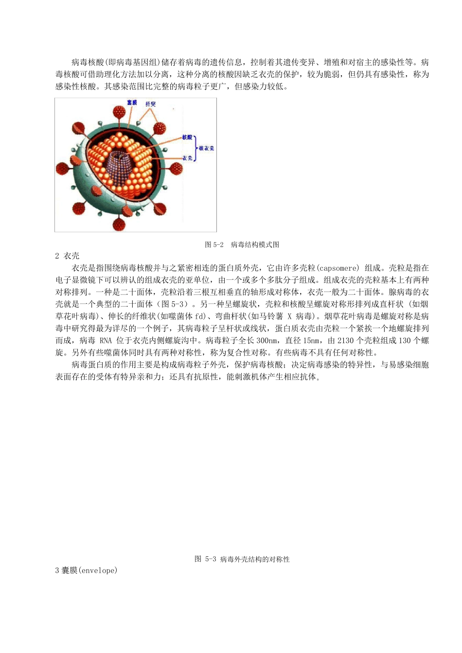 第五章病毒学检验基本技术_第2页