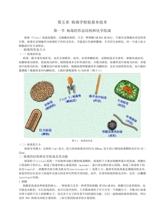 第五章病毒学检验基本技术