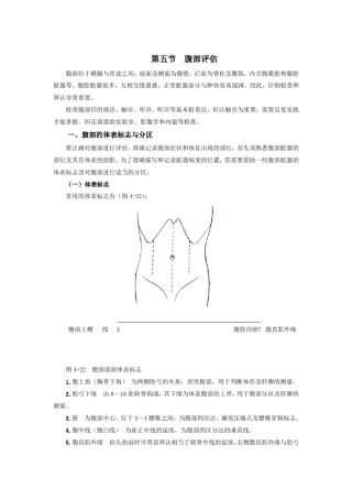 第五节腹部评估