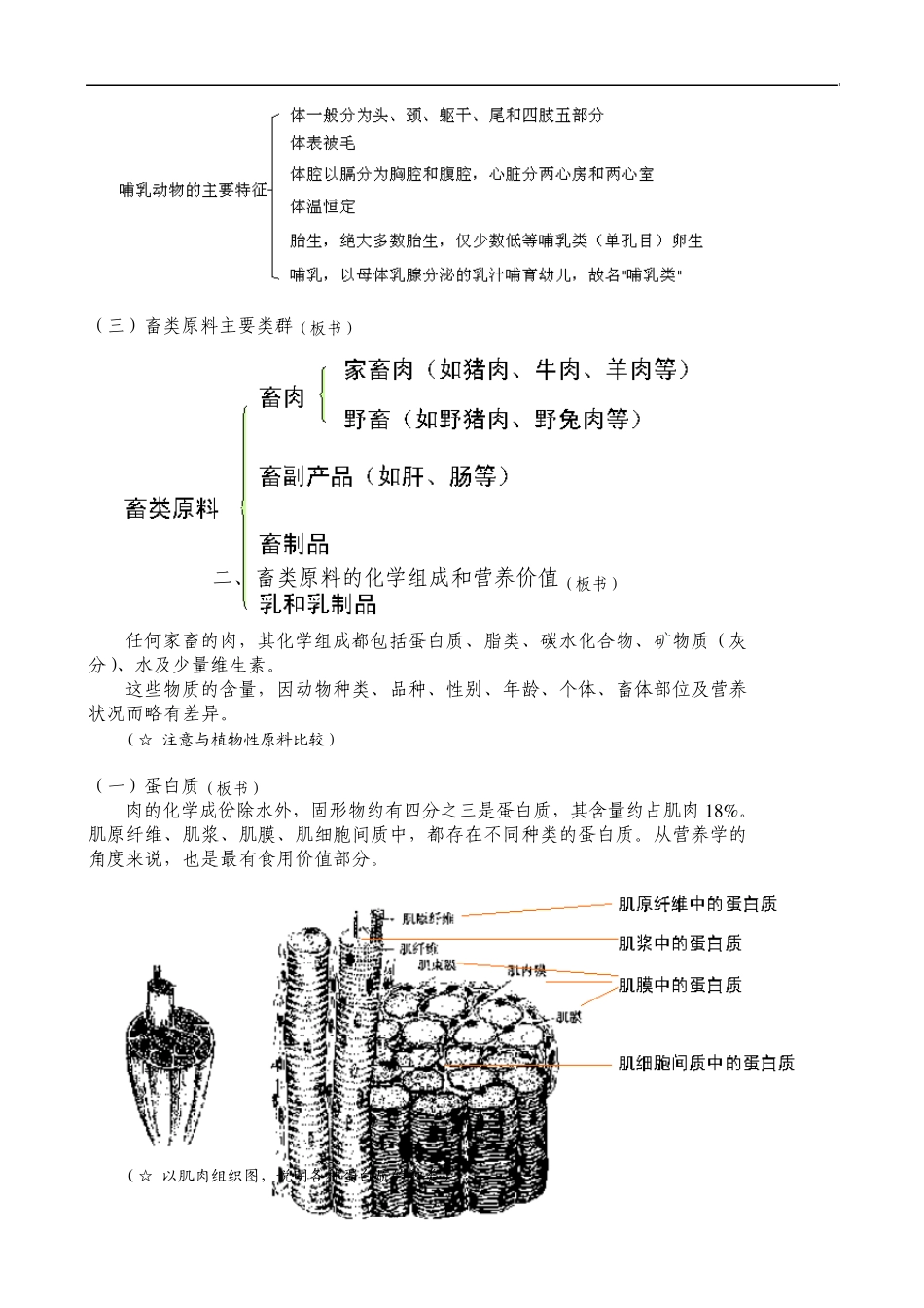 第八章动物性原料—畜类原料_第2页