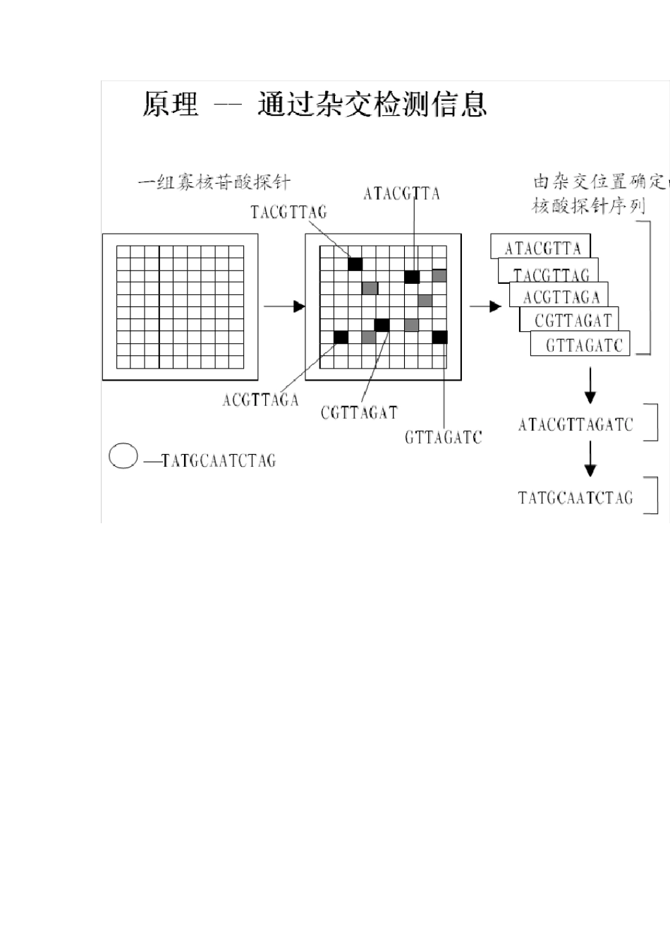 第八章基因表达数据分析_第3页