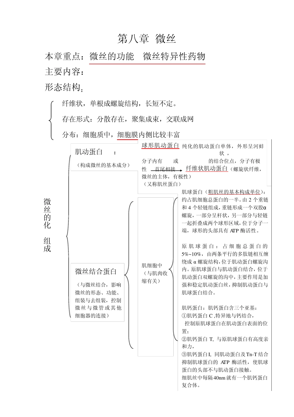 第八章微丝第九章微管第十章中间纤维_第1页