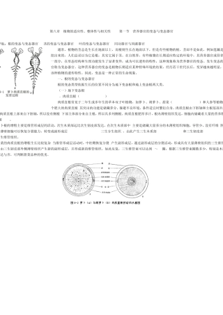 第八章植物的适应性、整体性与相关性