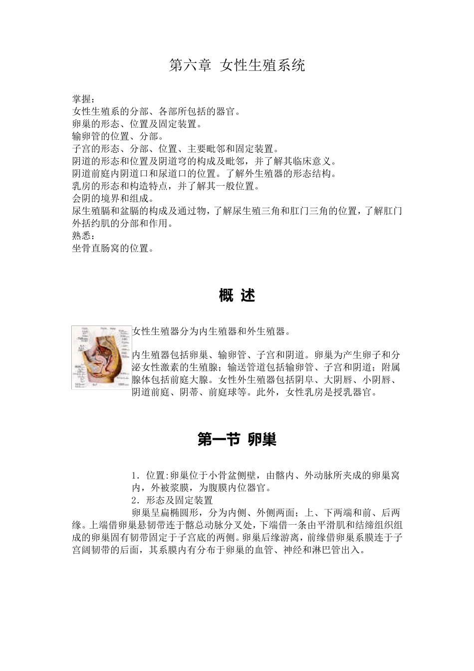 第六章女性生殖系统_第1页