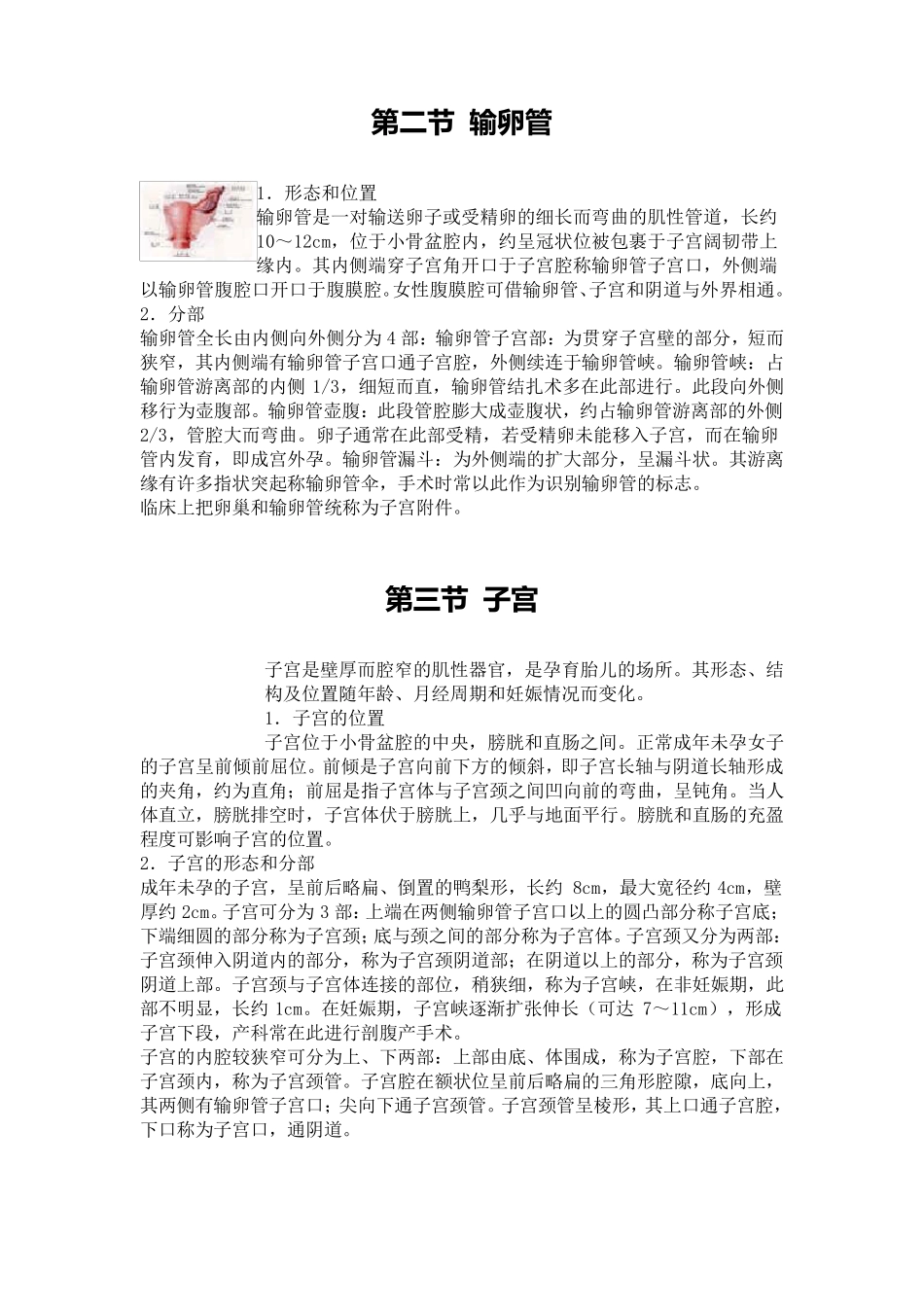 第六章女性生殖系统_第2页