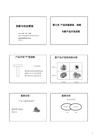 第六讲产品创新源泉、战略与新产品开发流程(复旦大学,宁钟)