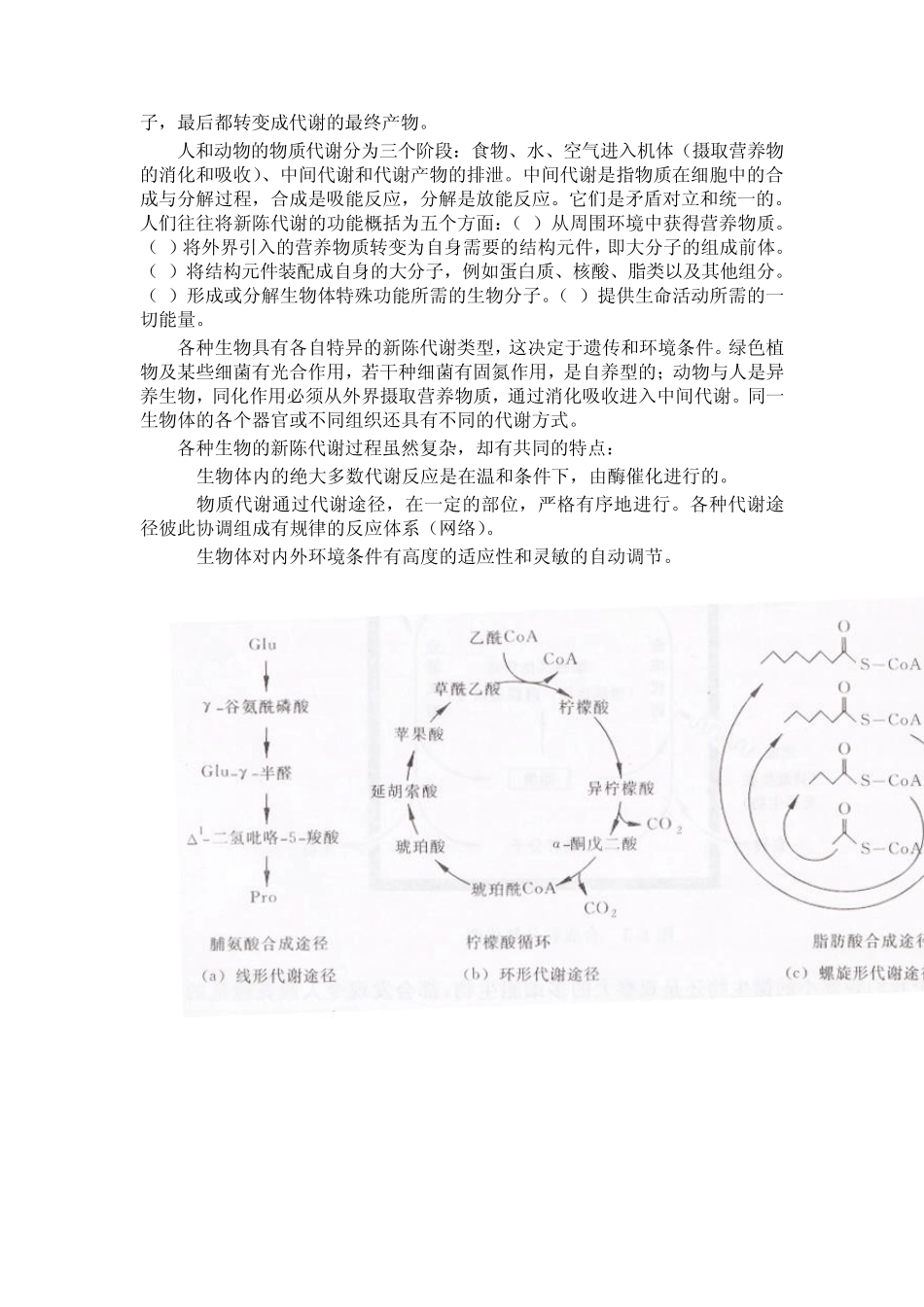 第四章新陈代谢总论与生物氧化_第2页