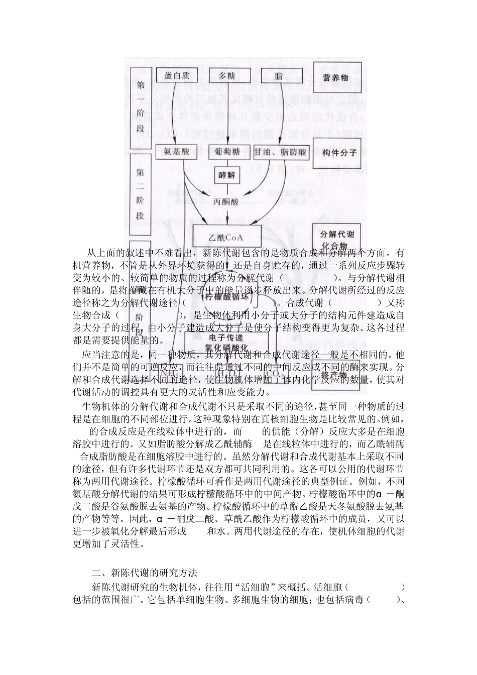 第四章新陈代谢总论与生物氧化_第3页
