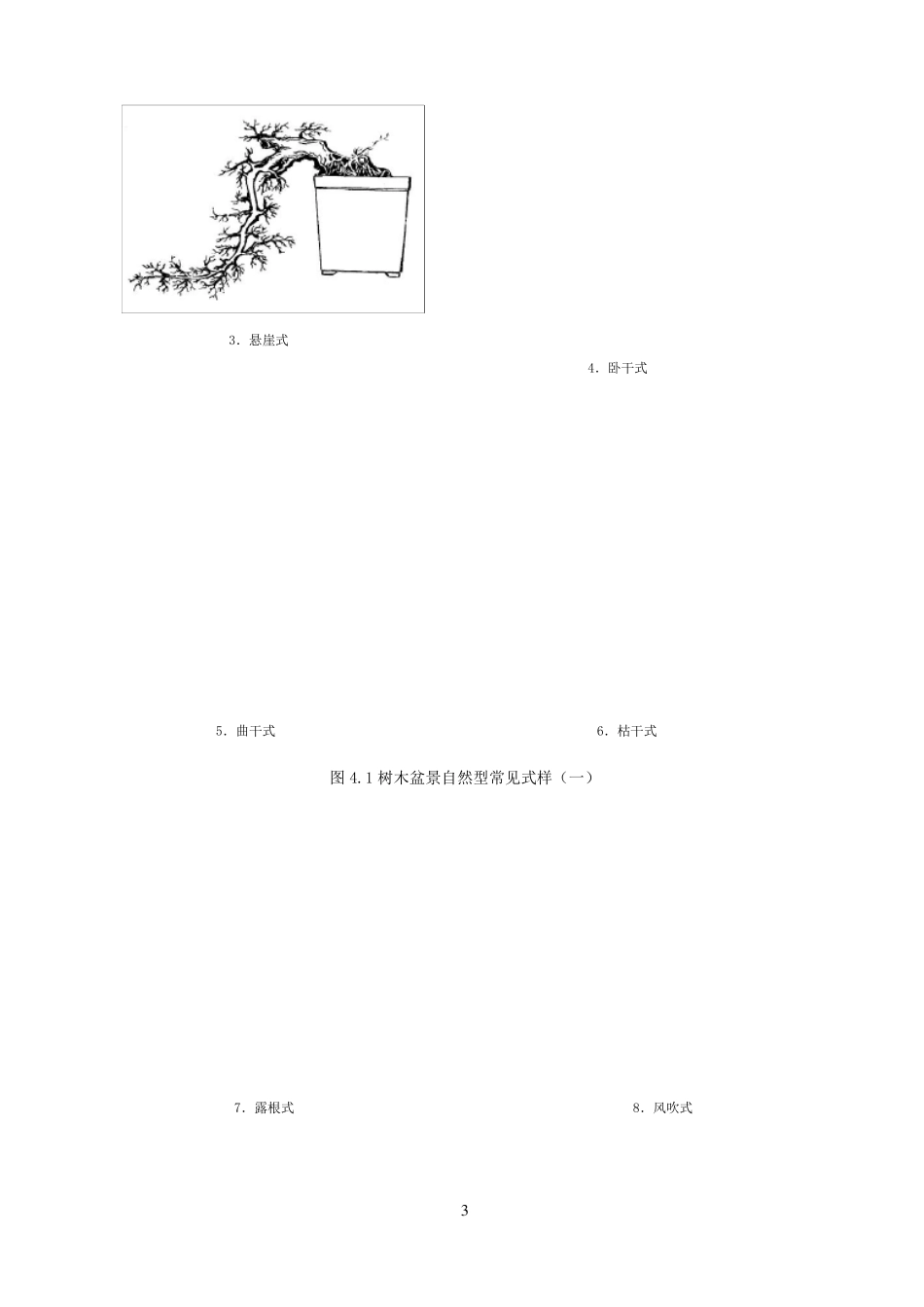 第四章盆景的分类_第3页