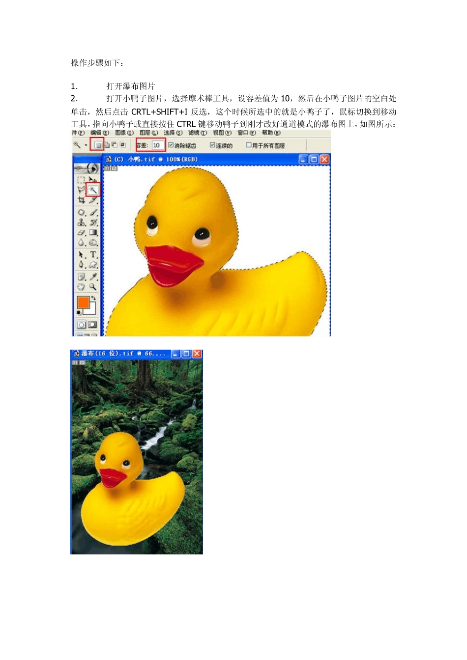 第四章：photoshop套索工具和魔术棒工具的用法_第3页