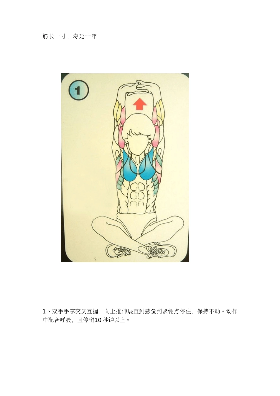 筋长一寸,寿延十年_第1页