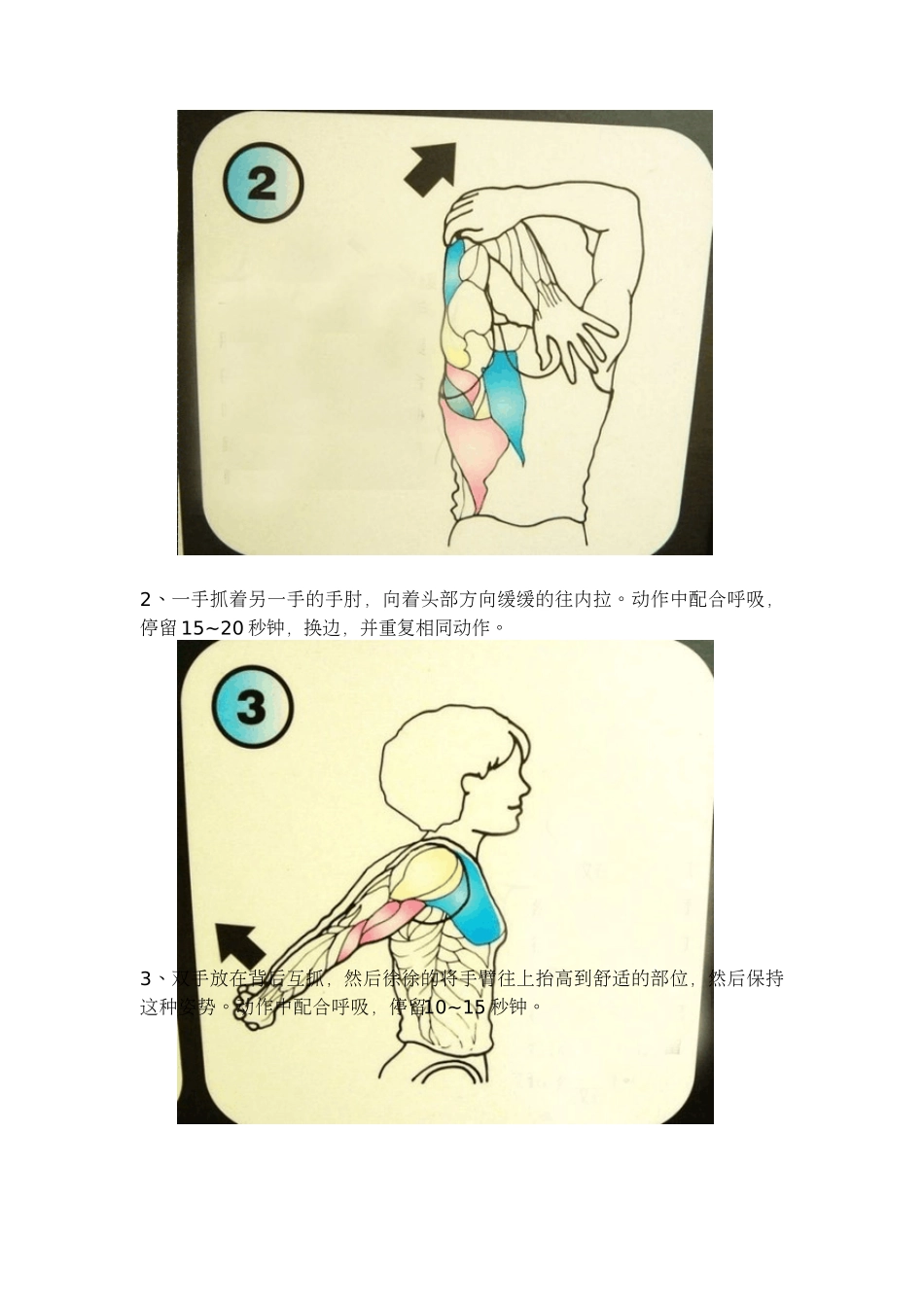 筋长一寸,寿延十年_第2页