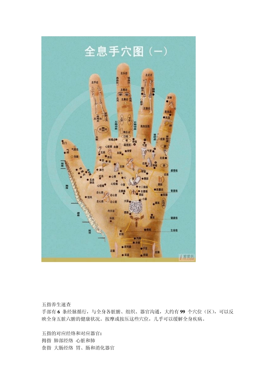 超珍贵的全息手穴图_第2页