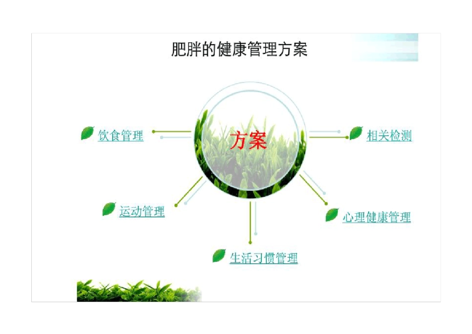 超重及肥胖的干预方案_第1页