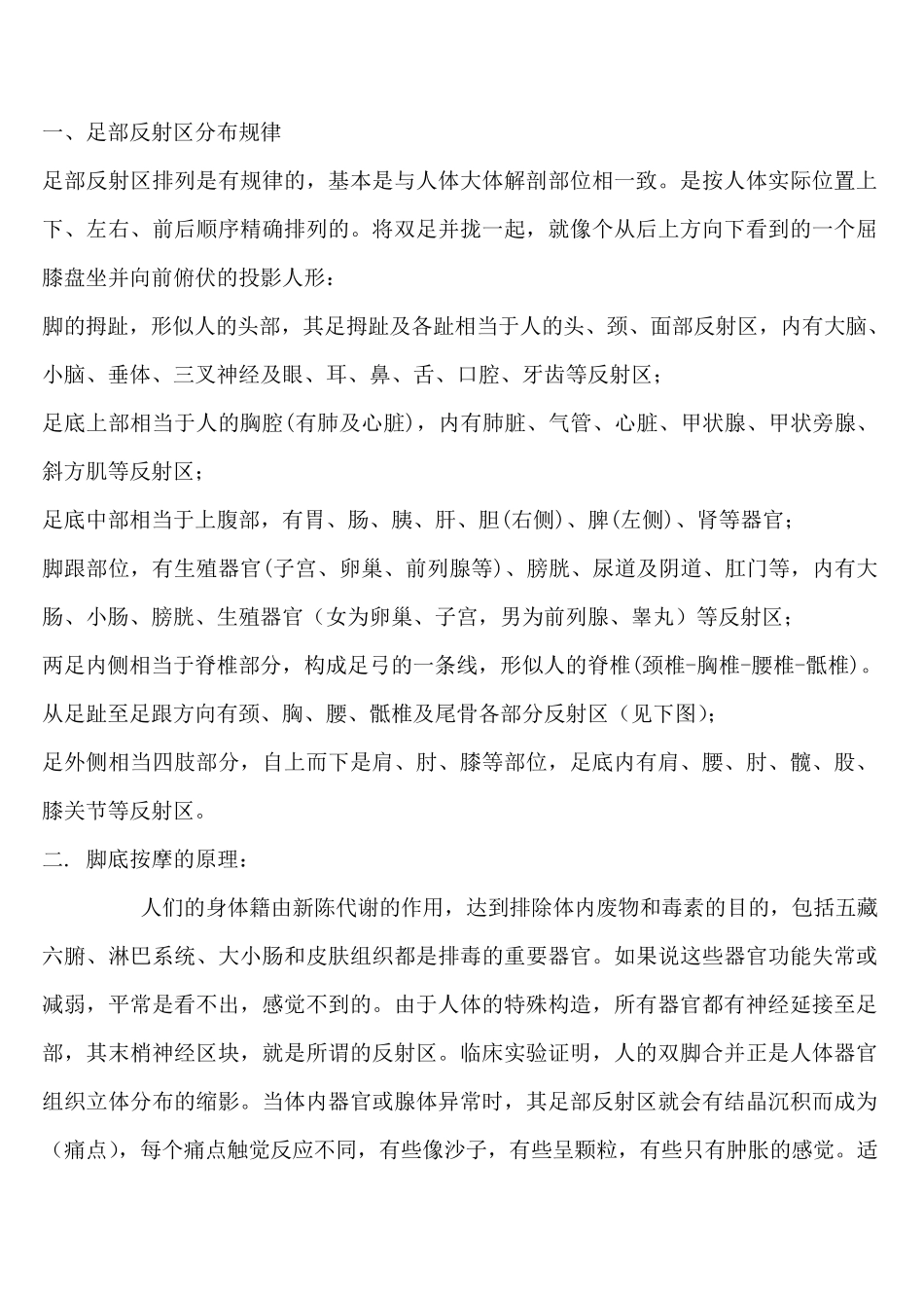 足底反射区图_第1页