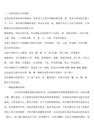 足底反射区图