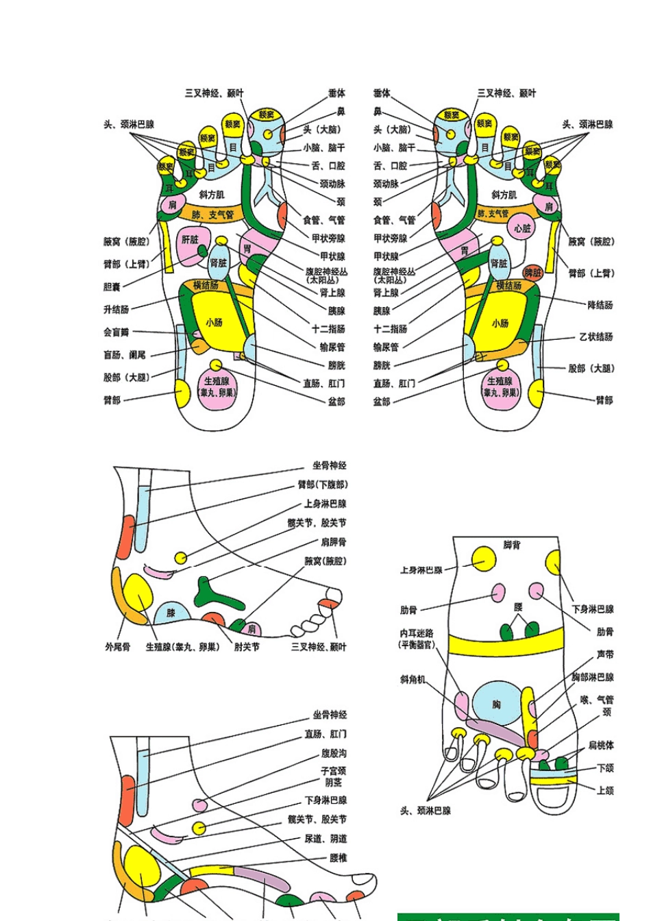 足底对应穴位及病症_第3页
