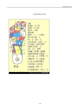 足底按摩知识全集