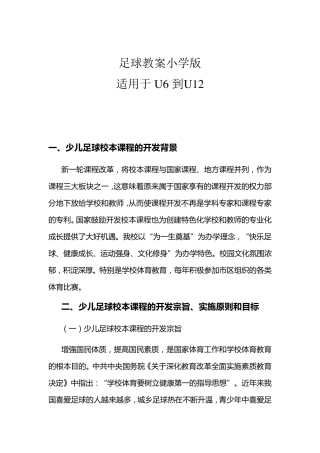 足球教案小学版