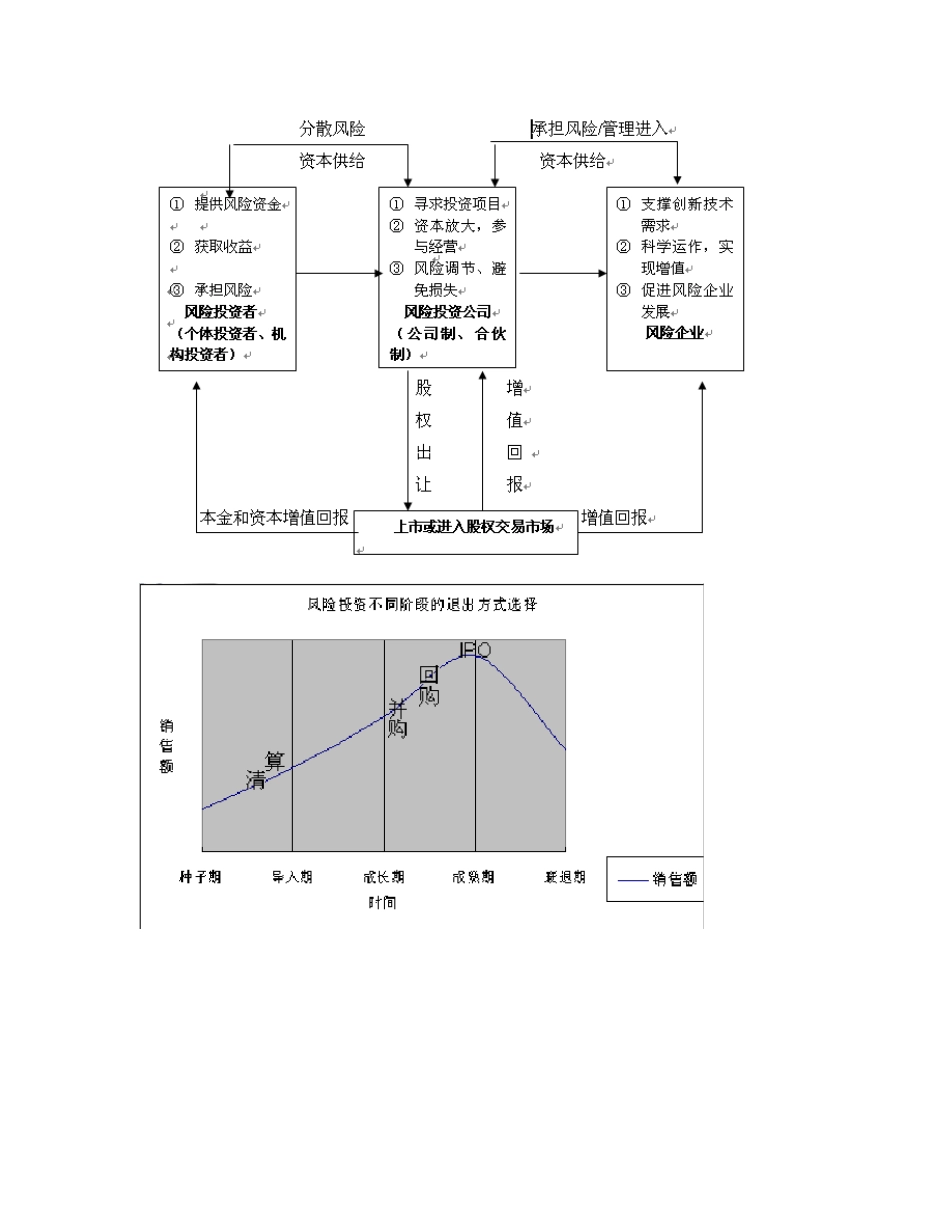跨国公司以直接投资方式进入外国市场的两种形式_第2页