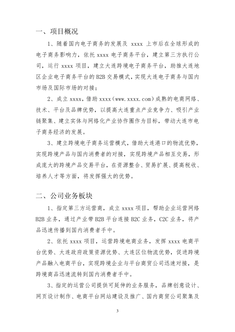 跨境电商商业计划书_第3页