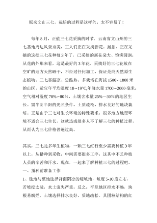 原来文山三七,栽培的过程是这样的,太不容易了!