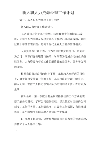 新入职人力资源经理工作计划
