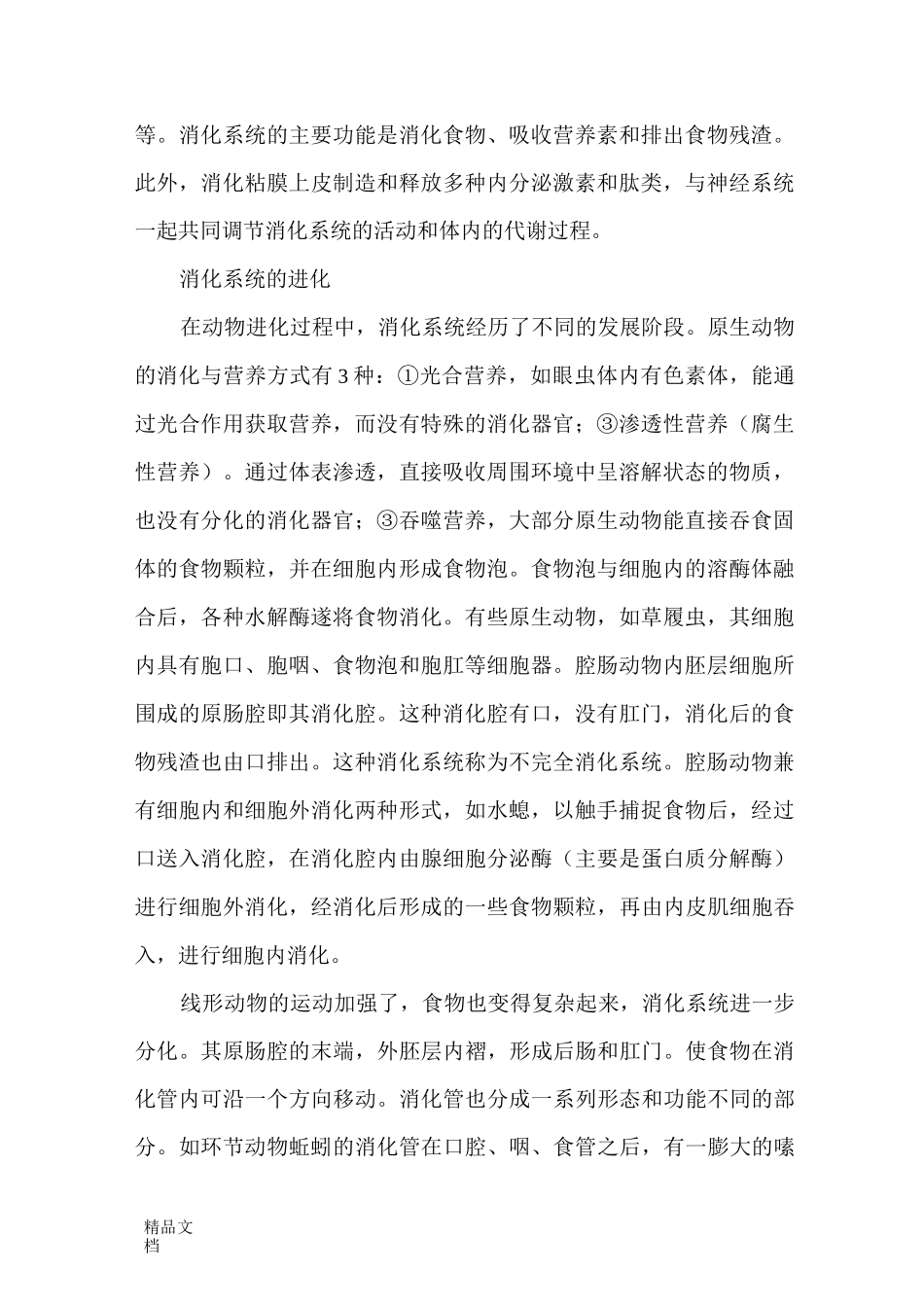 食物的消化过程_第2页