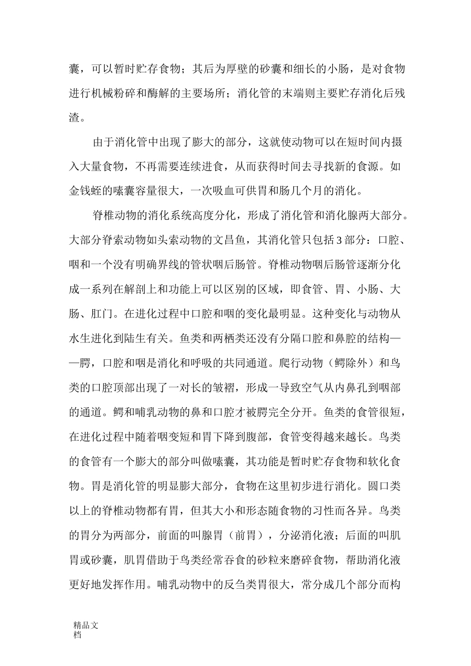 食物的消化过程_第3页