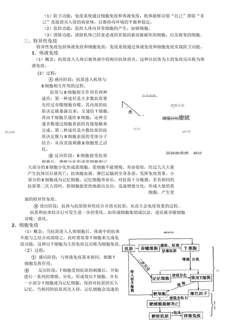 人体免疫调节教案_第3页