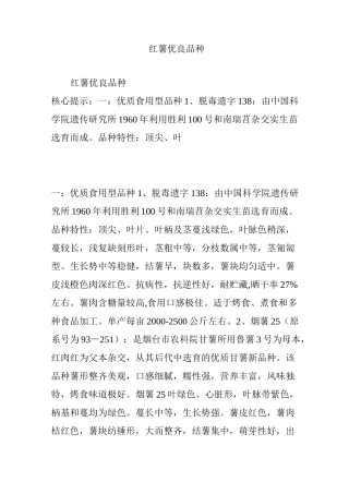 红薯优良品种