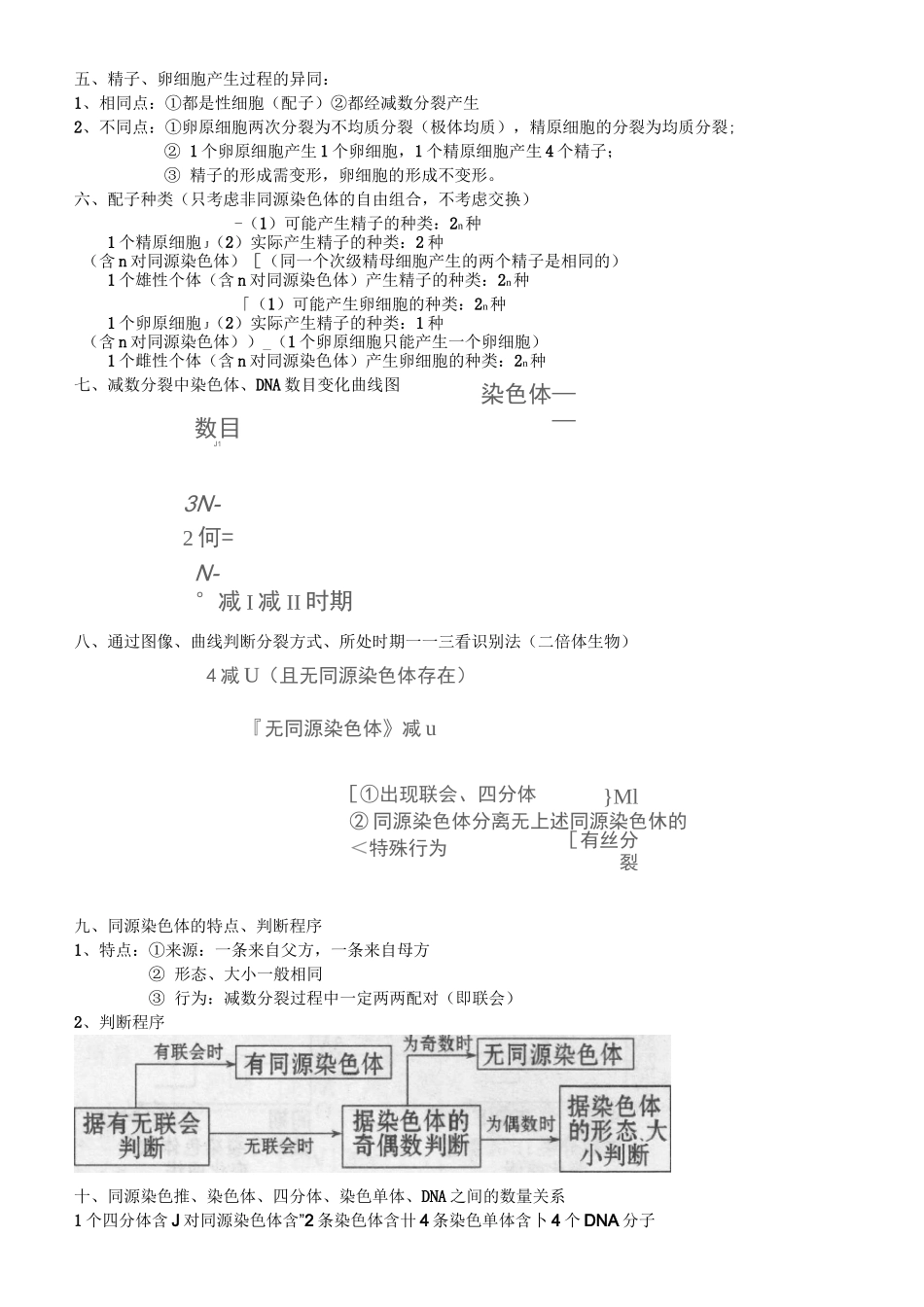 高中生物减数分裂知识点超全总结_第2页