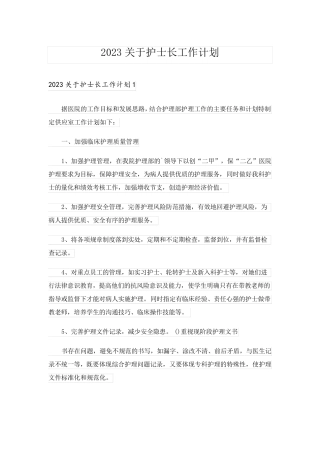 2023关于护士长工作计划_3