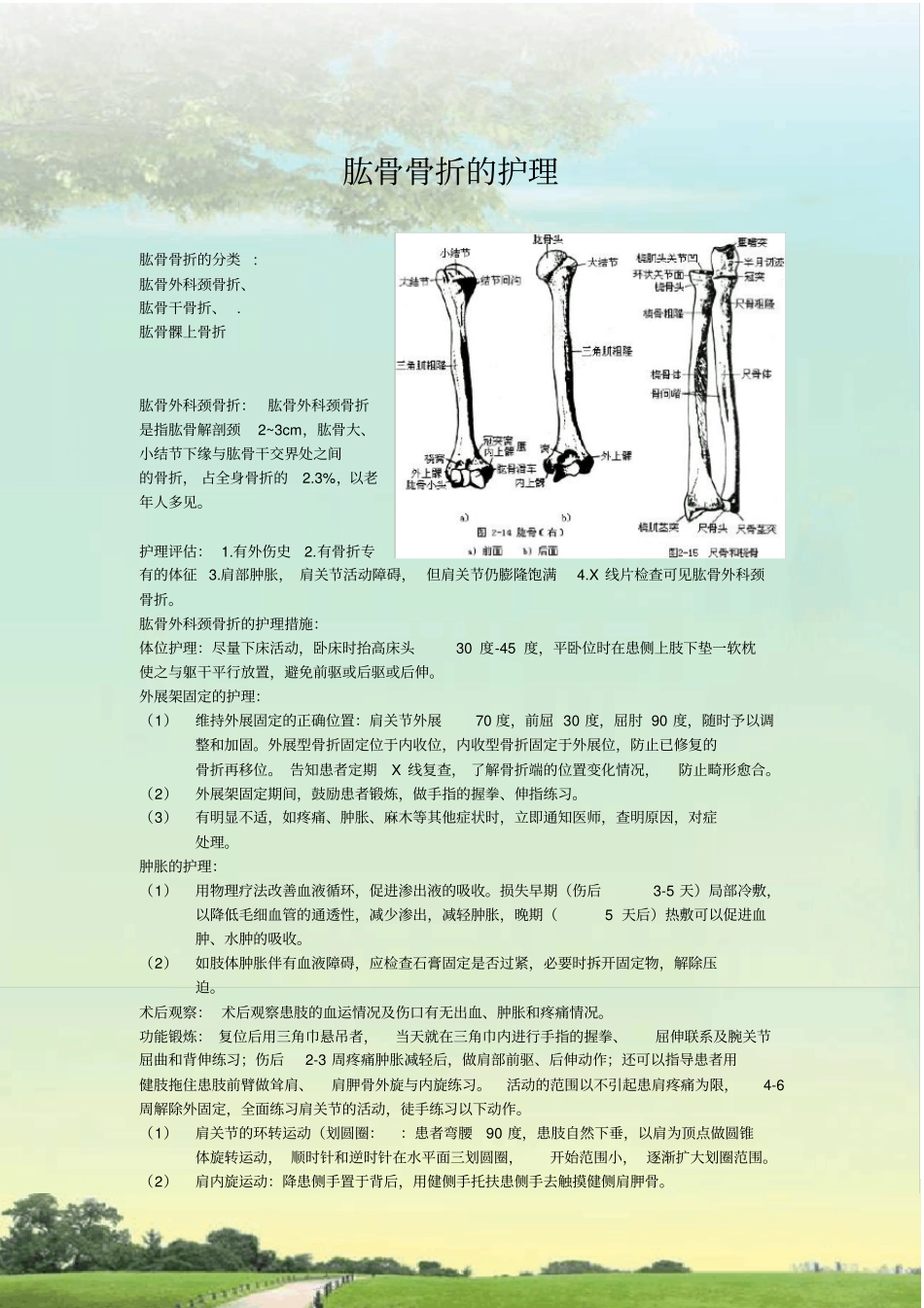 完整版肱骨骨折的护理_第1页