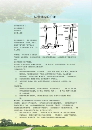 完整版肱骨骨折的护理