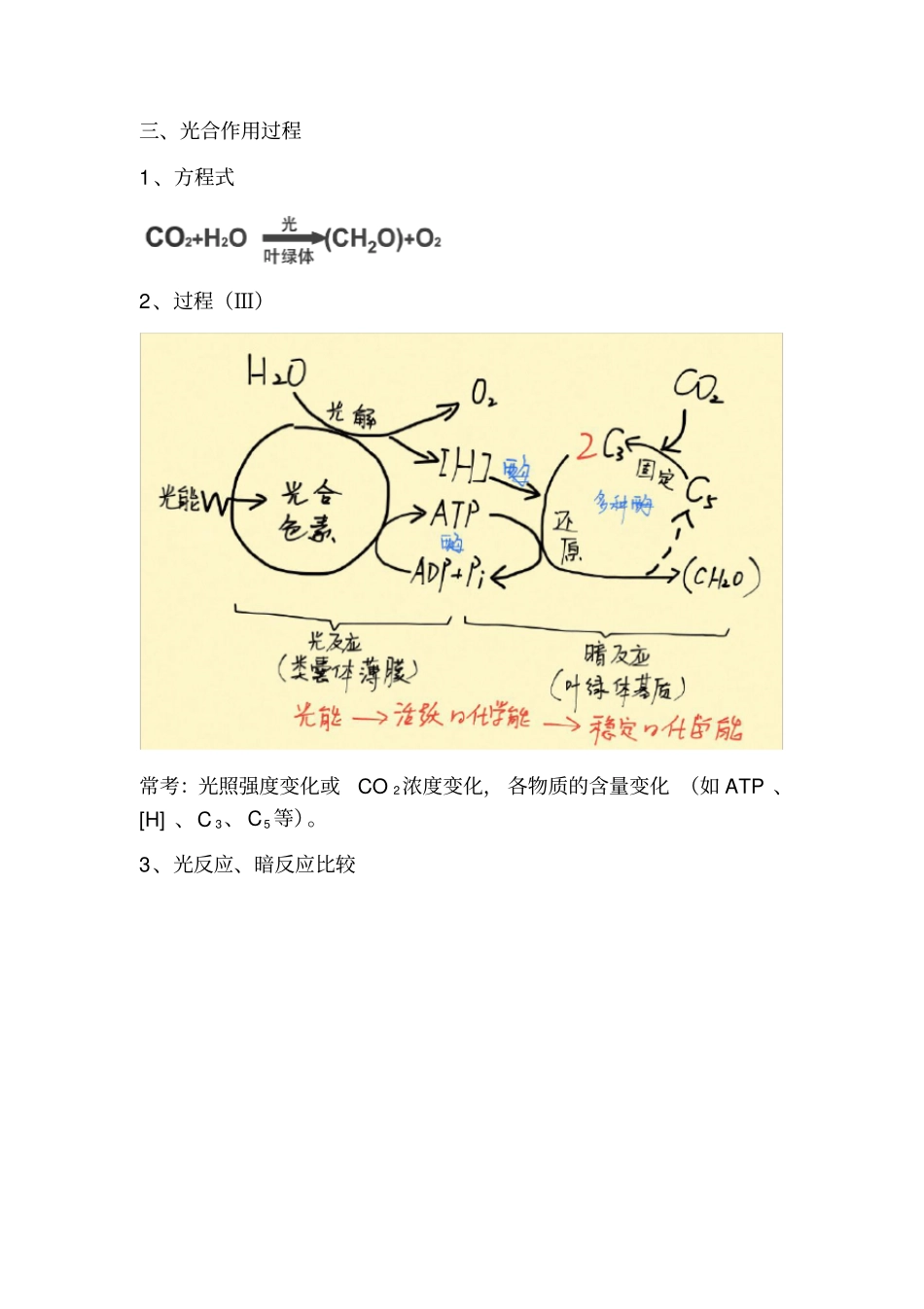 完整版能量之源——光与光合作用知识点_第2页