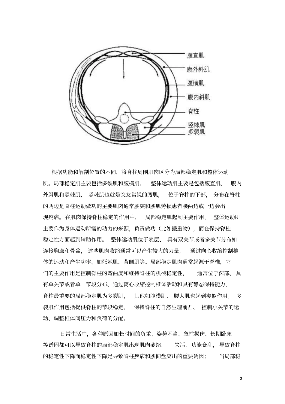 完整版腰间盘突出锻炼原理及方法_第3页