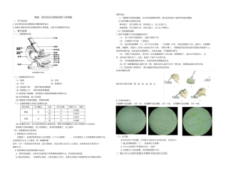 完整版试验使用高倍显微镜观察几种细胞