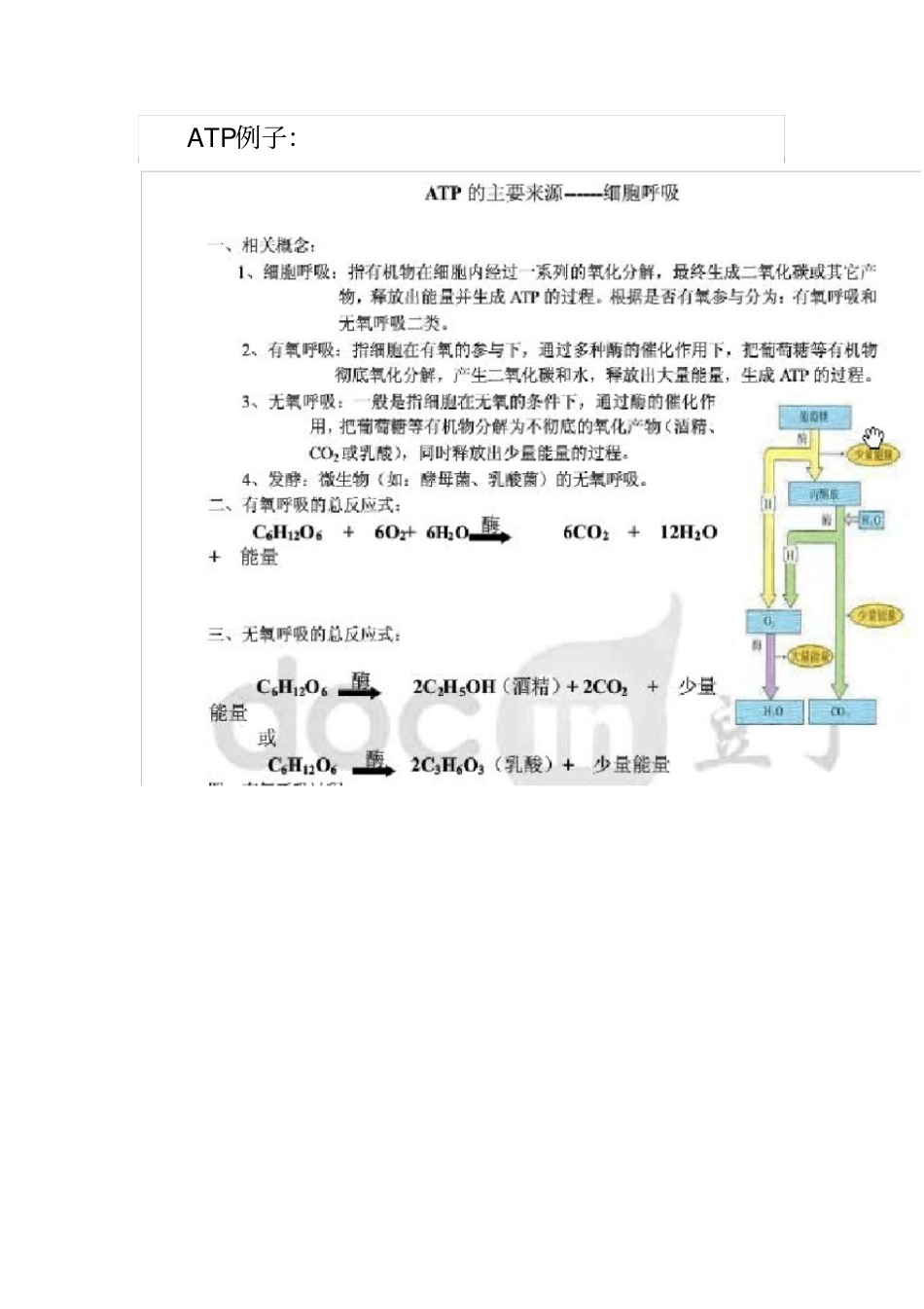 完整版高中生物光合,呼吸作用知识点,推荐文档_第2页