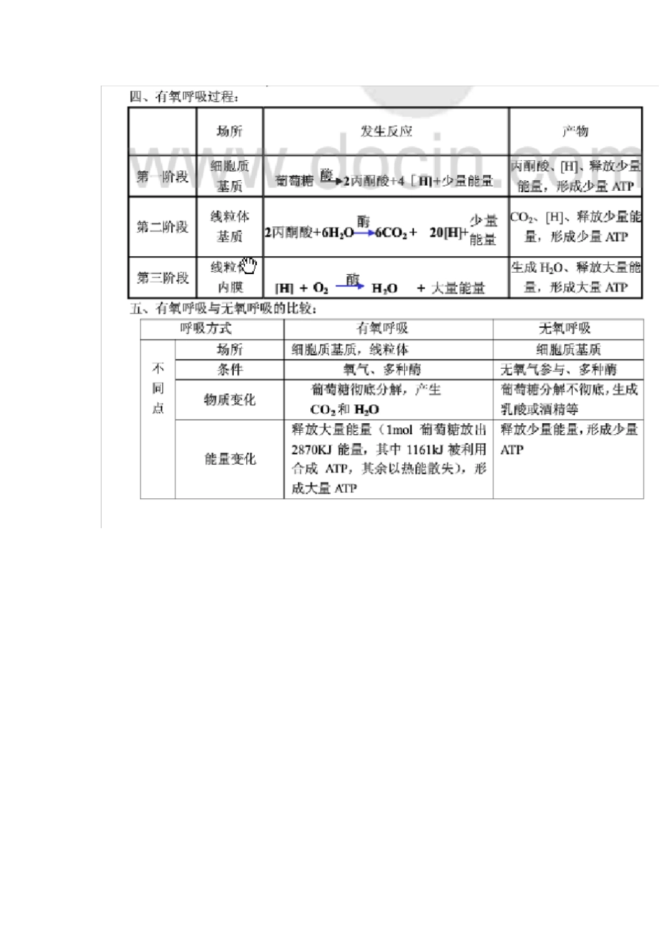 完整版高中生物光合,呼吸作用知识点,推荐文档_第3页