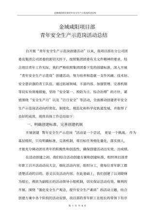 完整青年安全生产示范岗总结,推荐文档