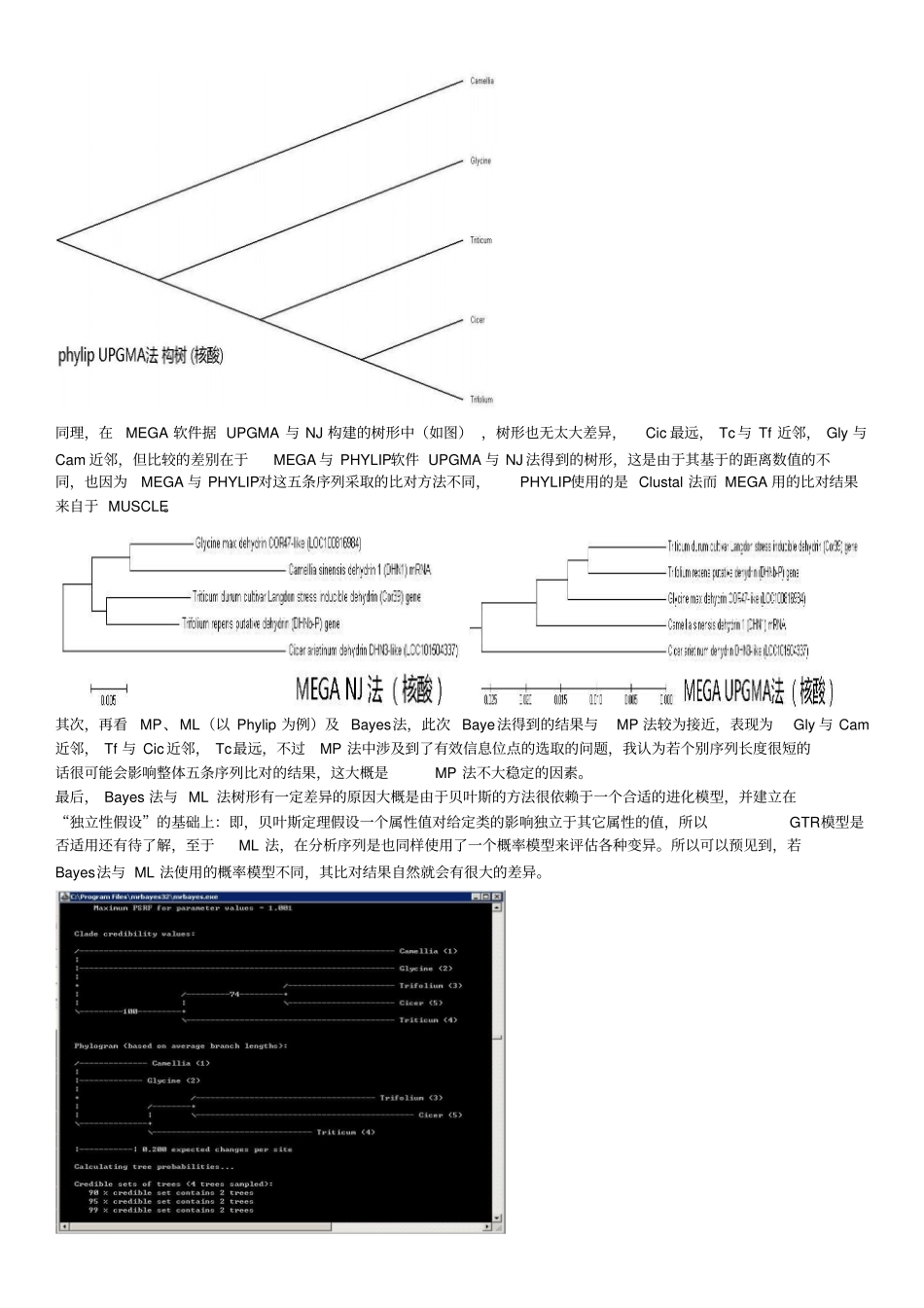 实习五：系统发育分析-PHYLIP,MEGA,MrBayes_第2页