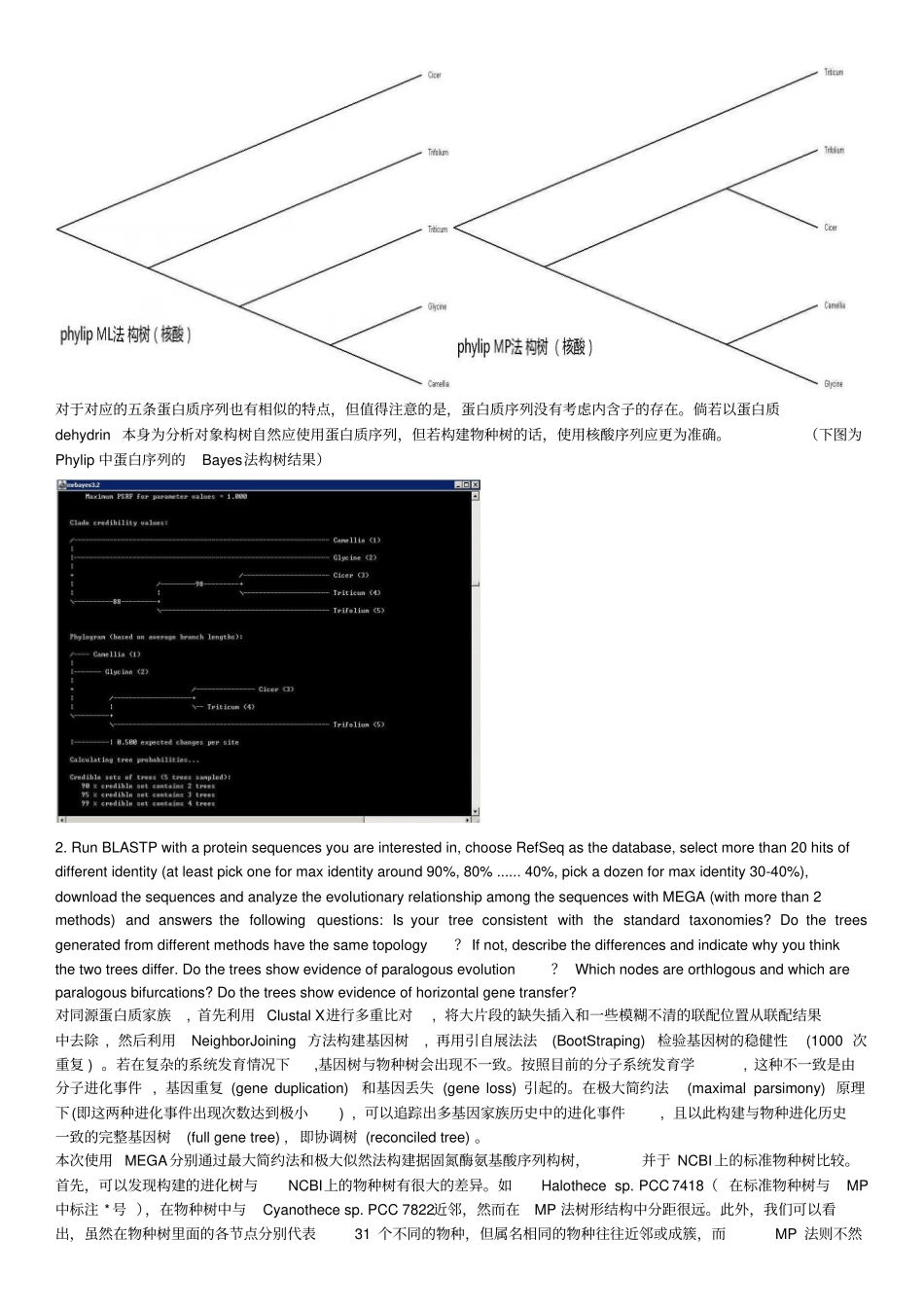 实习五：系统发育分析-PHYLIP,MEGA,MrBayes_第3页