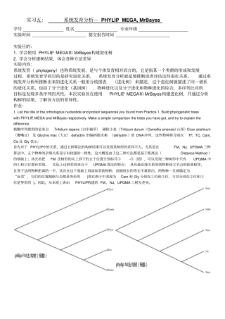 实习五：系统发育分析-PHYLIP,MEGA,MrBayes