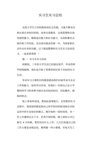 实习生实习总结