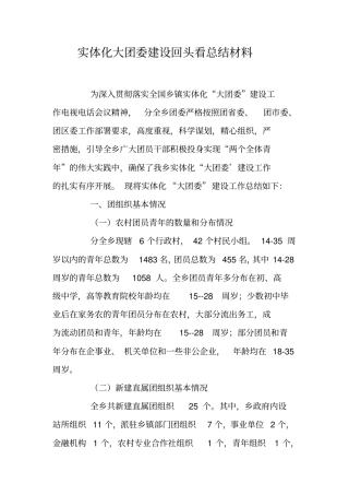 实体化大团委建设回头看总结材料