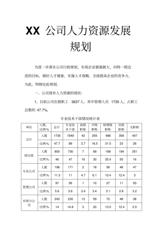 实例-XX公司人力资源发展规划