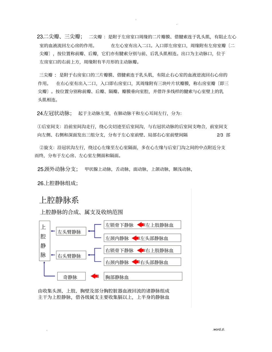 实地解剖学重点_第3页