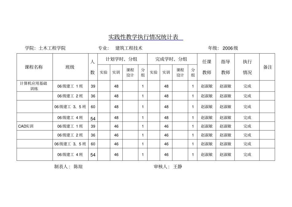 实践性教学执行情况统计表_第1页